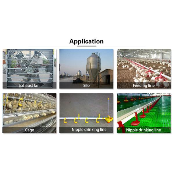 Линия питания птицы Odm цыплят автомата питания