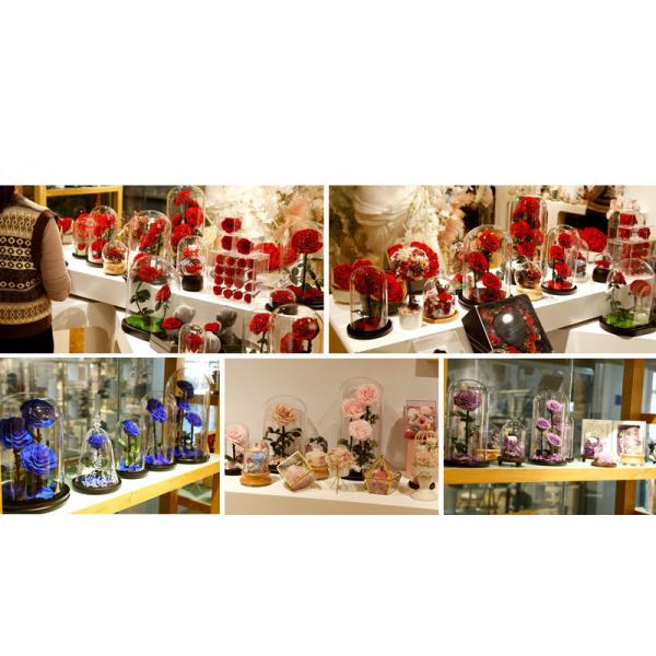 Wholesale Price Rose bear preserved roses in glass dome rose bear for lover