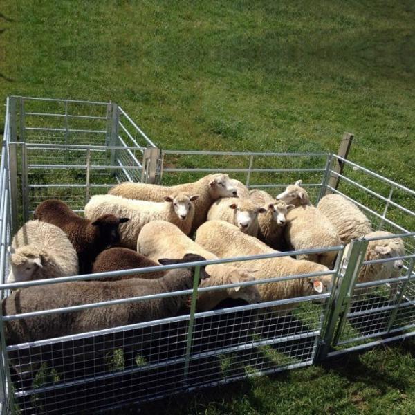 Light Grey Galvanized Sheep Farm Metal Fence Resists Corrosion Livestock Fence Panels
