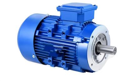 Moteur à induction à C.A. de 3 phases pour la basse tension de Polonais de la voiture 120hp 90kW 16 d'Ev