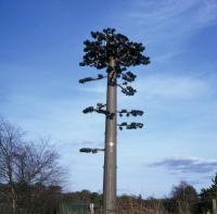 Torre de la célula del camuflaje del tubo del árbol biónico del ANSI sola