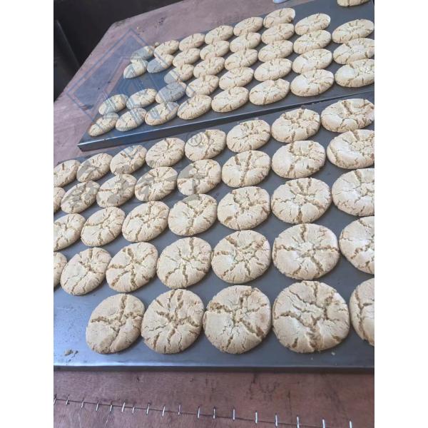 Industrial Walnut Soft Biscuit Forming Machine with 400 Models and 40x60cm Tray