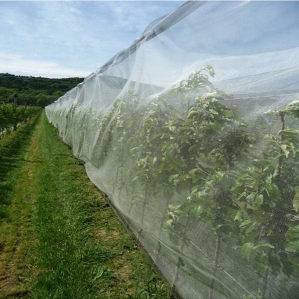 Insect Bird Netting Barrier Bags, Garden Bug Mesh Netting Plant Cover for Protect Plant Fruits Flower with Drawstring