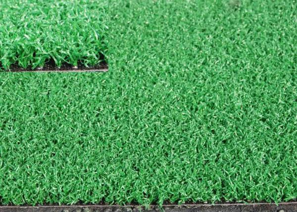 140 pontos/M Material PE Grama artificial para animais de estimação diferentes Campo em verde limão e verde oliveira