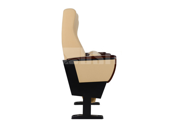 Стулья аудитории церков ядровой абсорбции с безшумной заключительной пусковой площадкой места