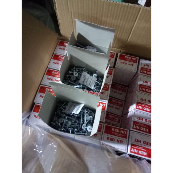 Metal Washer 9.5mm 3/4'' Trunking Nails 19mm for TT Market Head Diameter 3.7mm
