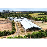 Construção de metal Estrutura de aço personalizada para galpão de vacas / galpão de ovelhas / casa de porco