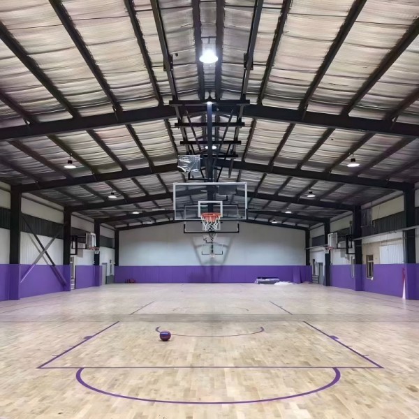Steel Ceiling Suspended Basketball Hoop with Tempered Glass Backboard and Adjustable Electric Manual Control for Indoor Training