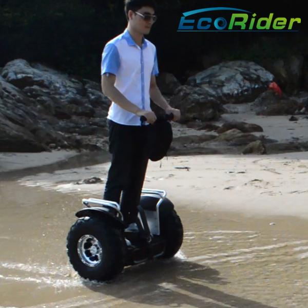 Adult Electric Scooter 2 Wheel Self Balancing Transporter 4 Hours - 6 Hours Charging Time