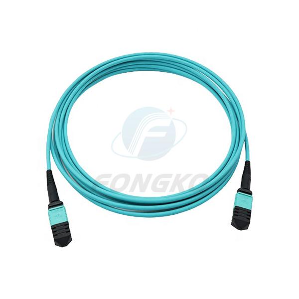 Профессиональный изготовитель 12 patchcord оптического волокна Patchcord OM3-300 женское MPO оптического волокна ядров в 1 метр