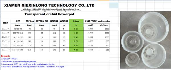 Transparent Phalaenopsis Flower Pot Transparent Orchid Pot