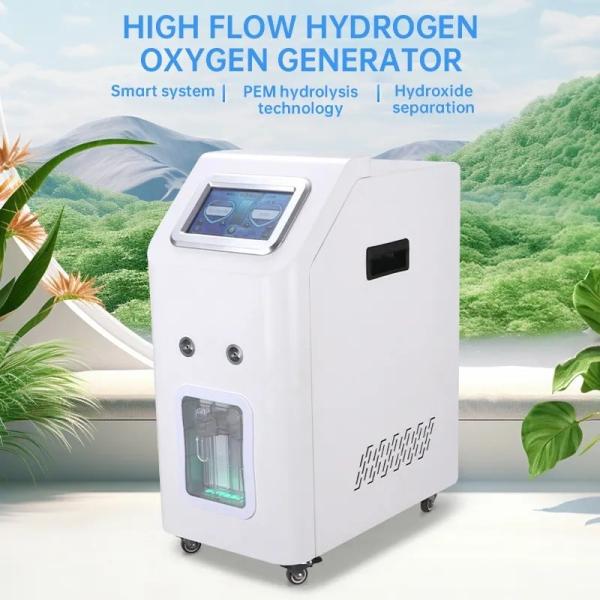 Customized 3000ml/Min PEM 99.996% Hydrogen Inhalation Machine Household Use Hydrogen Water Generators Weizi