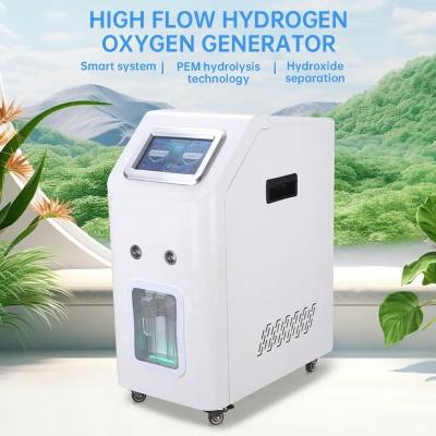Technologie Inhalation d'hydrogène 3000 ml Et biocarburant à hydrogène Cellule à combustible PEM pour usage domestique