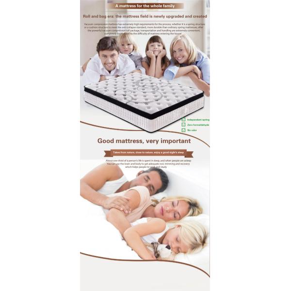 Non-Toxic Independent Pocket Spring Massage Knitted Cotton Breathing Fabric Furniture