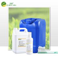 Fourniture directe d'usine de thé vert frais saveur naturelle qualité alimentaire Pour la fabrication de dentifrice Avec une bonne expérience d'achat
