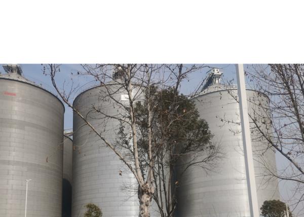 Silo de grão de aço galvanizado 100T - 12500T aos feijões de soja do arroz do milho do armazenamento