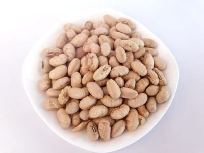 Nutrição completa secada amarelo embebida salgada do gosto friável do petisco dos feijões de soja