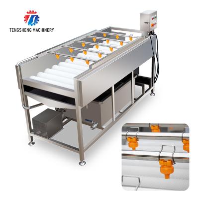 Máquina de lavar de limpeza do fruto do pulverizador da alta pressão da máquina do rolo 2.5KW paralelo vegetal
