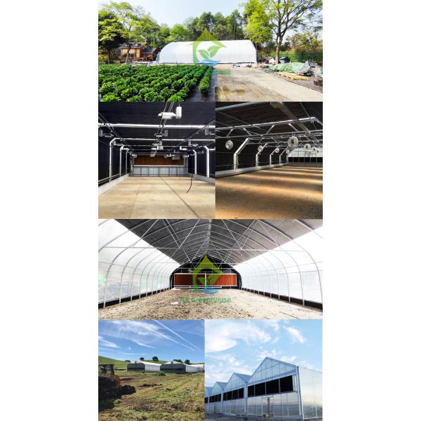 Los cáñamos modificados para requisitos particulares encienden el invernadero del apagón de Dep Solutions Electric Film Roller