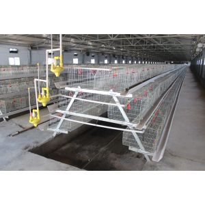 Автоматическая курочка 275g/M2 оборудования птицефермы клетки цыпленока бройлера младенца слоя