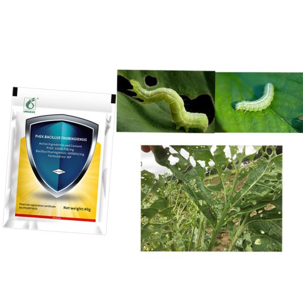 Pesticida líquido PrGV más Bacillus Thuringiensis 500 Gr para gusanos de repollo