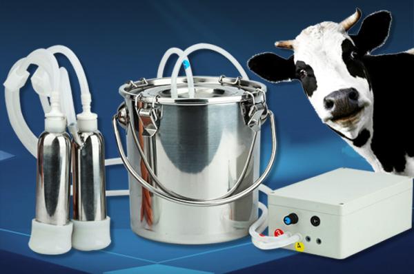 Portable Electric Stainless Steel Cow Milking Machine Reinforced Hemming For Longer Life