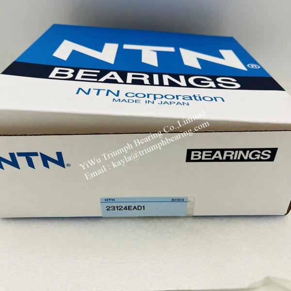 NTN   Spherical Roller Bearing  23124EAD1