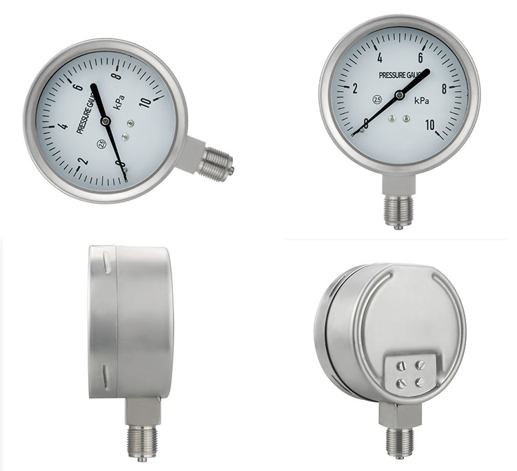 Thread Customizable 304SS Stainless Steel Capsule Type Pressure Gauge 100mm Diameter