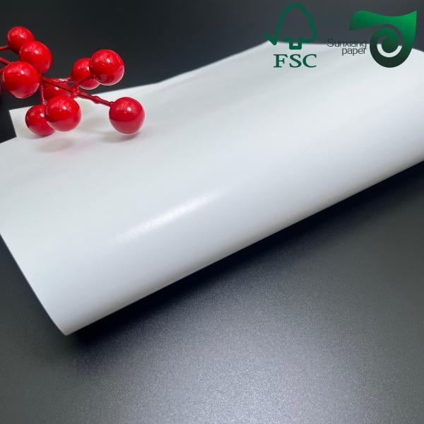 FSC Custom Size 160gsm 180gsm Inkjet Printing C2S Art Paper For Books