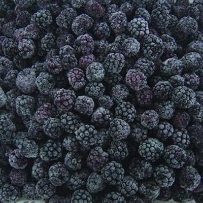 Frozen Fruits Berries Hot Sale and High Quality IQF Frozen Blackberry