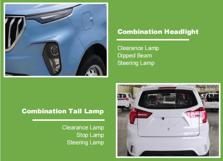 Raysince New model electric vehicle 4 Seats 5 door China high speed electric car