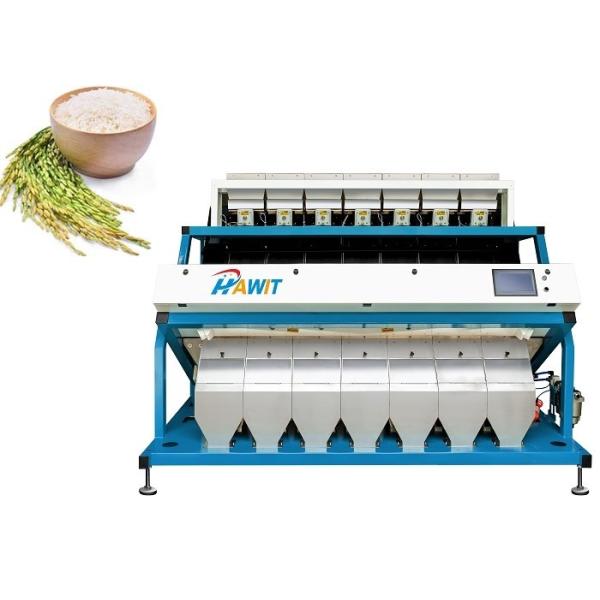 1574mm trieuse de riz de 448 canaux évaluant collant échaudé à grain long