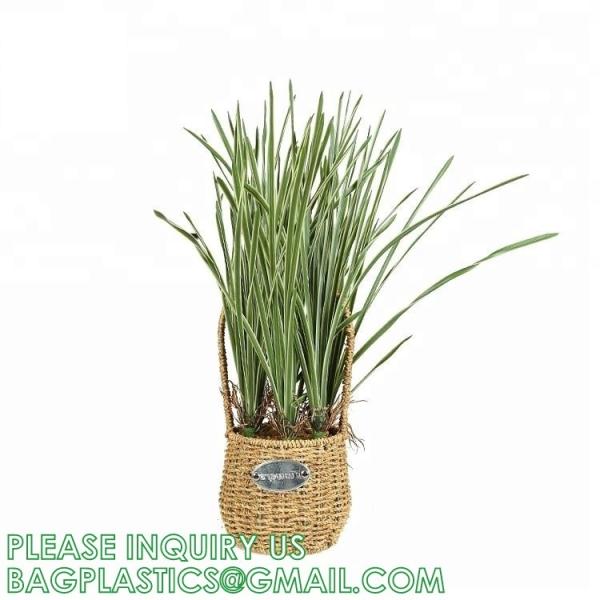 Artificial Plants 6 Pack Onion Tall Grass Greenery, Faux Fake Grass Shrubs Plant Flowers Wheat Grass for House Home