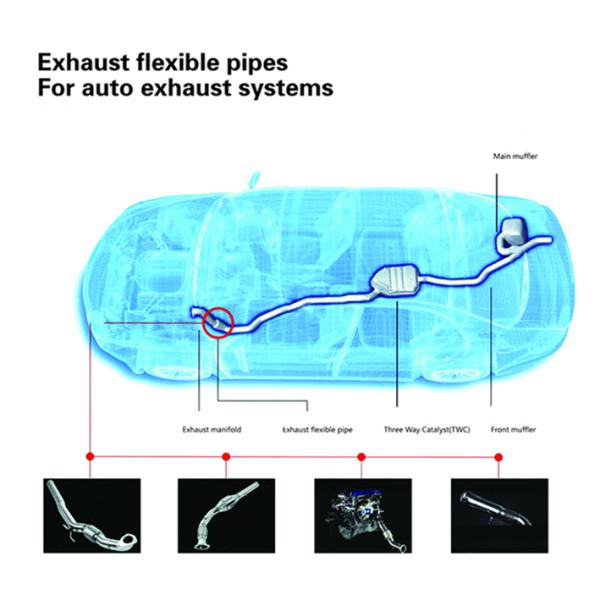 Всеобщим подвергли механической обработке металлом, который труба гибкого трубопровода нержавеющей стали частей заплетенная вытыханием с расширением ниппелей
