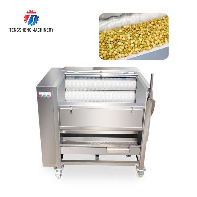 Batata elétrica comercial Peeler da escova da cenoura, máquina do raspador da batata doce