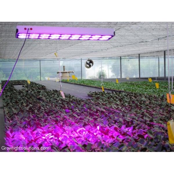 Cidly LED 18 Grow Light Garden Light LED Plant Light 650W