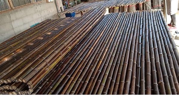 Carbonized Black Natural Bamboo Pole Fence Panels Roll for Outdoor Decoration Garden Agriculture
