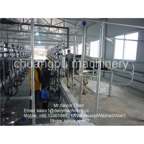 Herringbone Milking Parlor with 380V/50Hz Power and CE ISO SGS FDA Certification for Dairy Cows