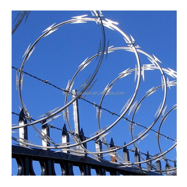 Galvanized/PVC Coated Farm Barbed Wire Hot Dipped Galvanized for Agricultural Fencing