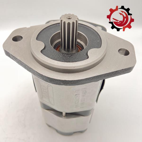 OEM Гейр насос CBFB4-F2516K1-1Y Порядок цвета Конкретный насос Части грузовика для национальных стандартных машин