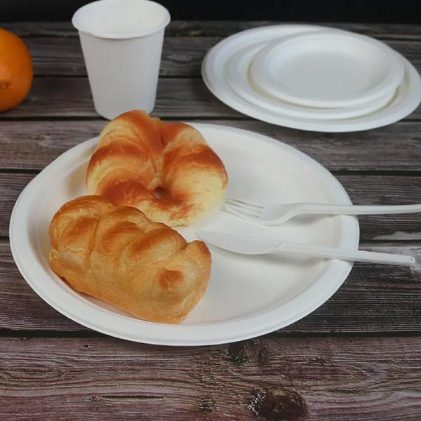 Biodegradable Plastic Tray Plate Cornstarch PLA Environmental Corn Starch