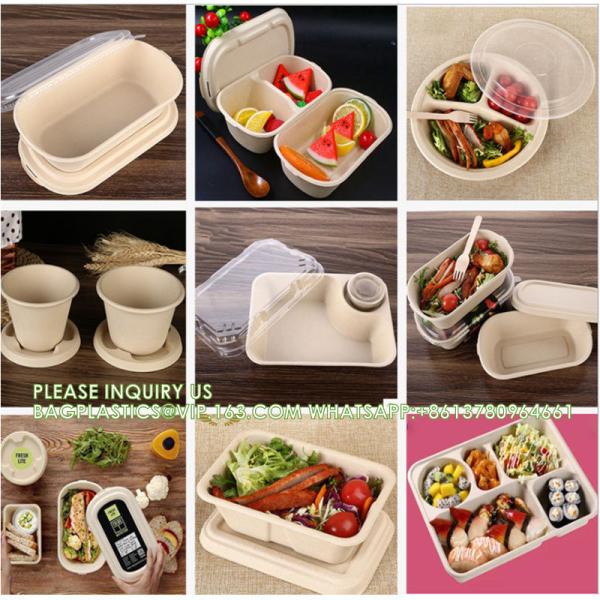 5 Compartment Snack Food Tray Sugarcane Bagasse Plate Disposable Plates Eco-Friendly White Natural Bagasse Plates