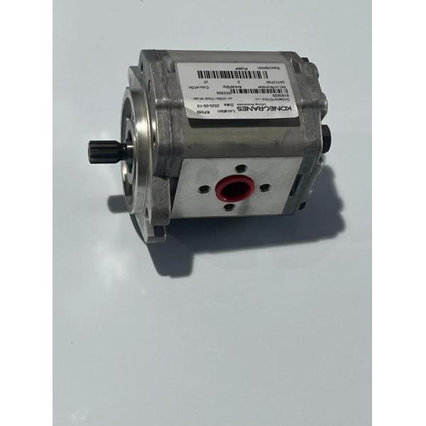 54113756 0009810445 Pump Konecranes Spare Parts OEM Long Lasting