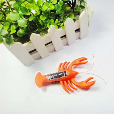 Small Cute Solar Powered Animal Kids Educational Birthday Gifts Solar Lobster