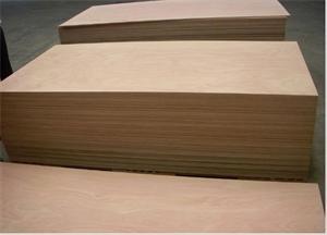 28mm and 21 layer ISO container flooring plywood  for repair or produce container
