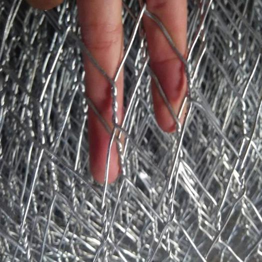 PVC Coated Or Galvanized Poultry Fence Hexagonal Wire Mesh