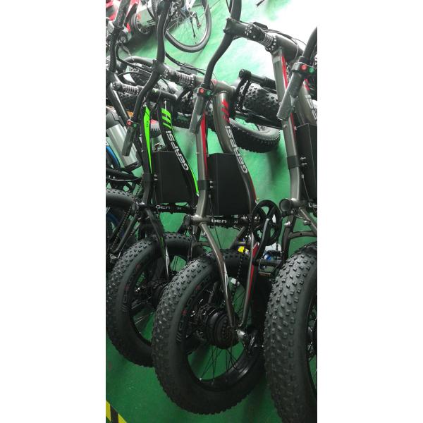 Aluminum 20 Inch Fat Tire Electric Bike 750 Watt