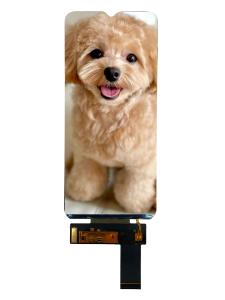 RGH 6.5インチ LCDタッチディスプレイ 720 ((RGB) X1600 16LEDバックライト