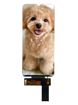 RGH 6.5inch Lcd Touch Display 720（RGB）X1600 With 16 leds Backlights