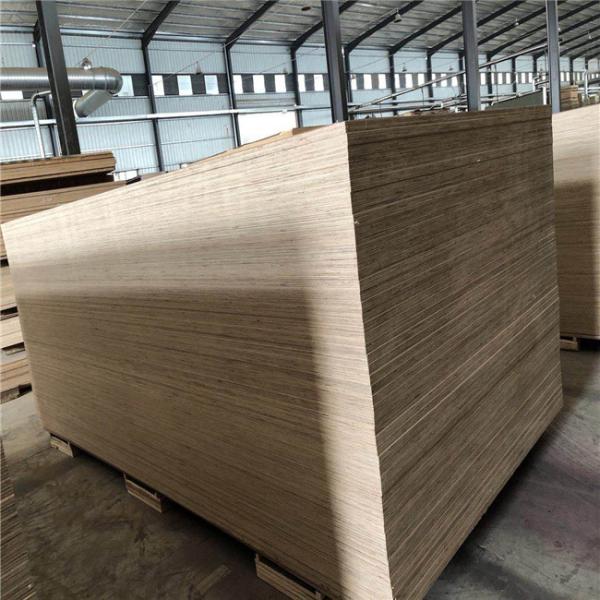 WBP Glue Sapele Faced Plywood